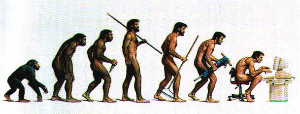http://saigonocean.com/linhtinh/LinhTinh/so7_files/image027.jpg